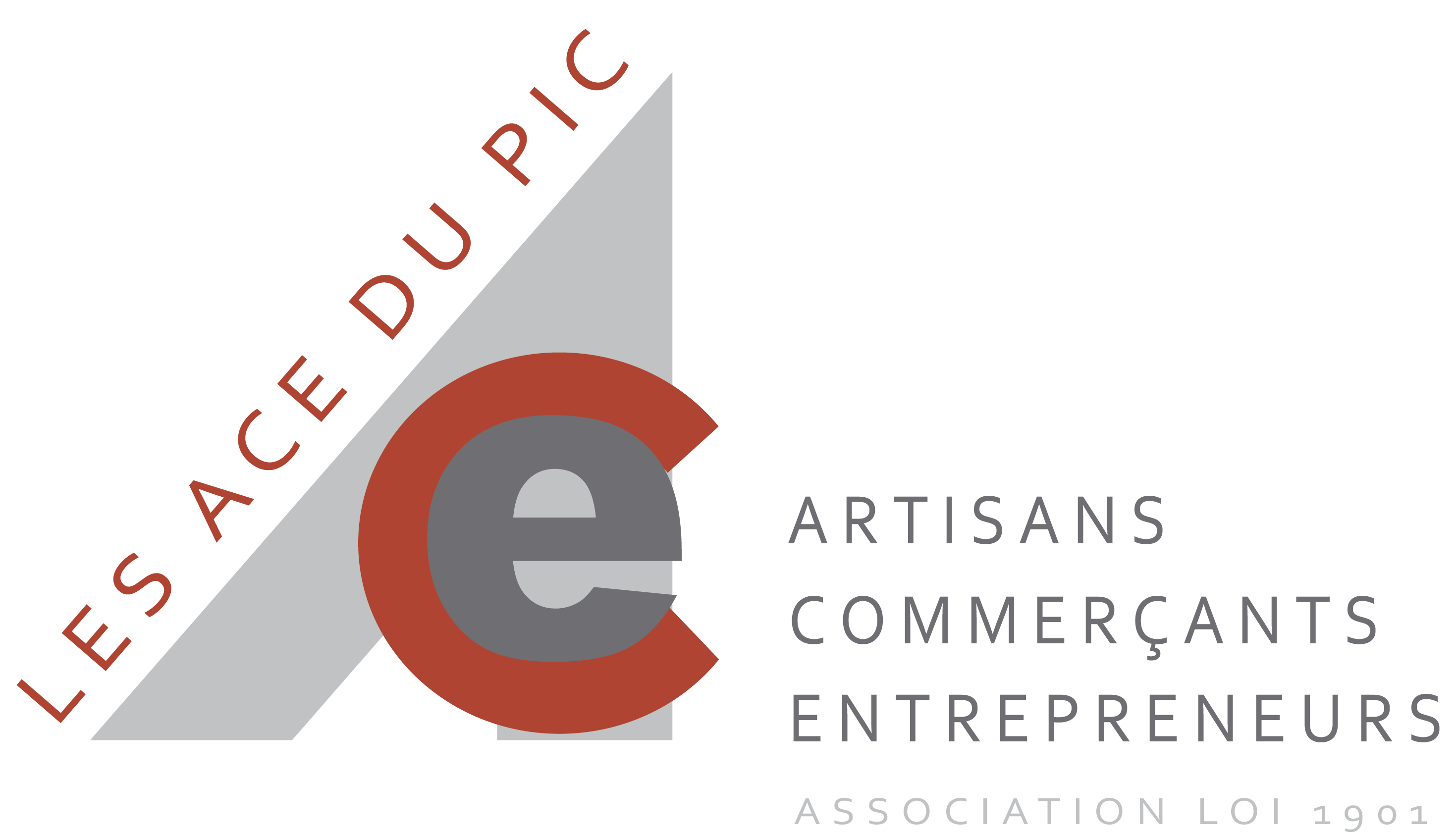 logo_ace_du_pic